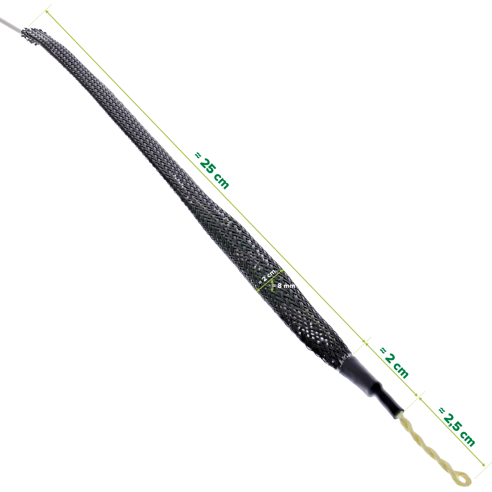 881XX6.jpg