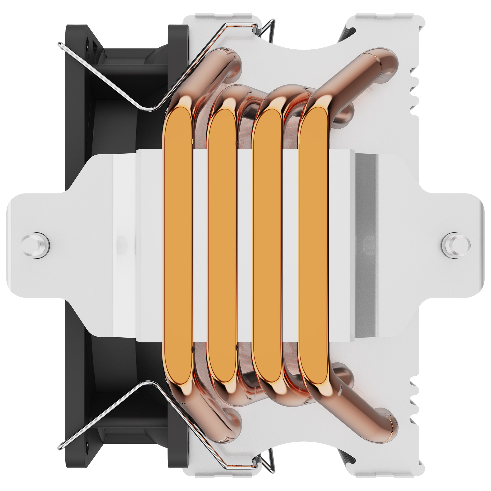 33700L7.jpg